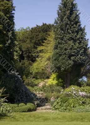 Garden Path 1