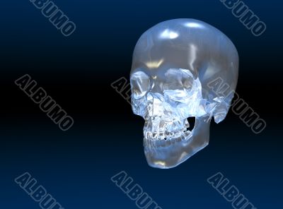 Crystal skull