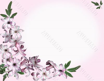Background pink flowers