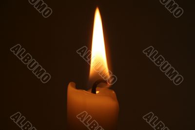 Candle