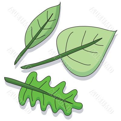 Cartoon leaf