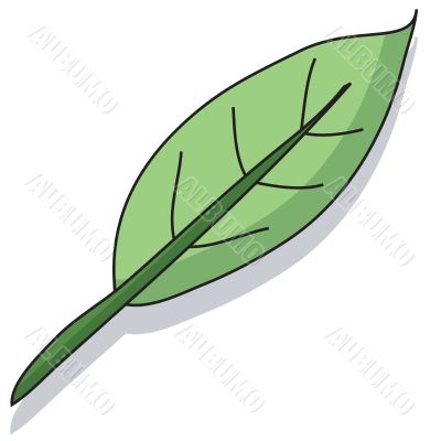 Cartoon leaf