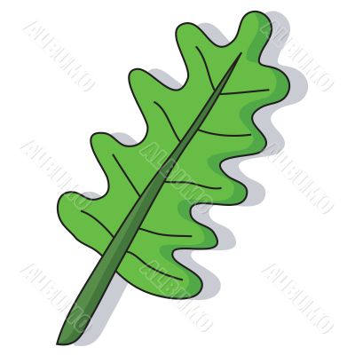 Cartoon leaf