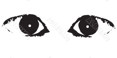 Eye body part