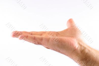 Holding out a hand