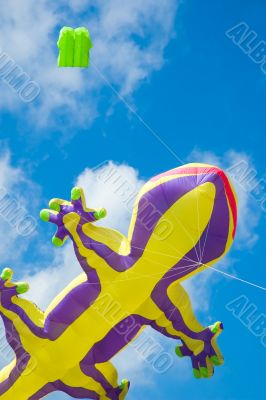 big colorful lizard kite in flight