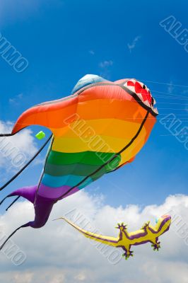 big colorful lizard and fish kites