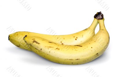 Two yellow bananas