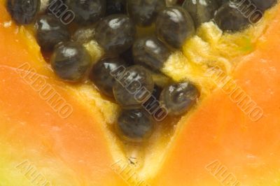 Papaya orange  flesh with seeds macro
