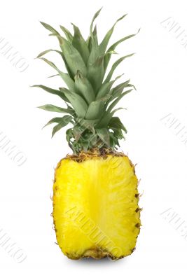 Ripe pineapple pulp on white