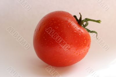 Tomato