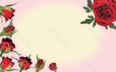 Rose background