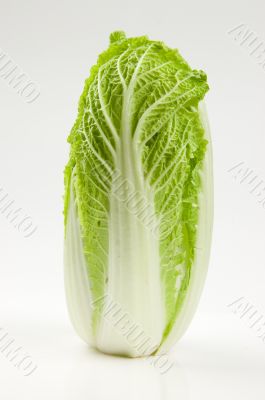 Chinese lettuce studio shot