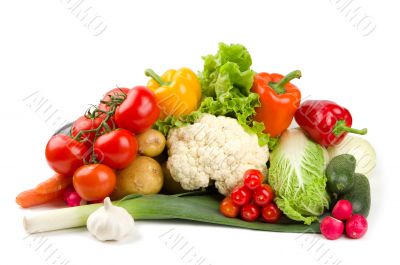 Set of different vegetables isolated on white