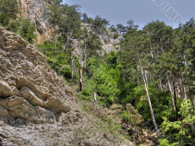 Mountain landscape. Crimea.