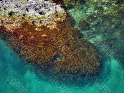 Beautiful sea coast. The western Crimea.