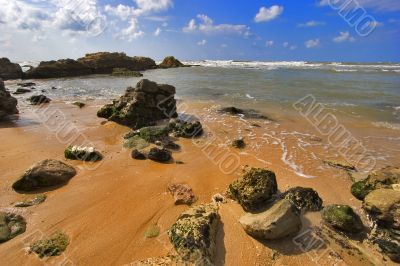 Damp sand