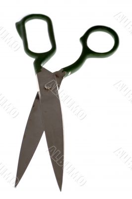 Scissors of tailor