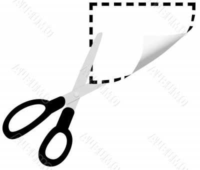 Cut Coupon Curl