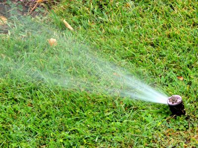 Having watered a lawn