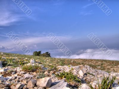 Mountain landscape. Crimea.