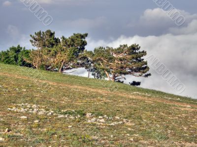 Mountain landscape. Crimea.