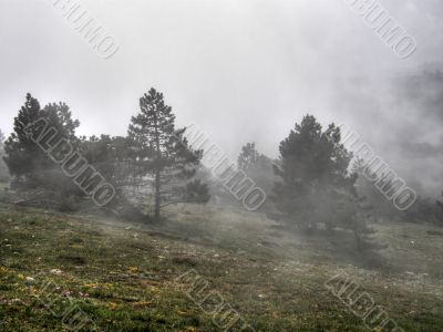 Mountain landscape. Crimea.