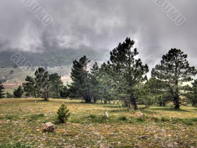 Mountain landscape. Crimea.
