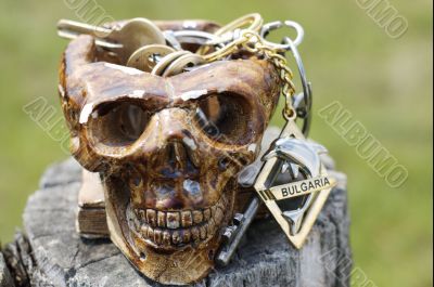 Skull