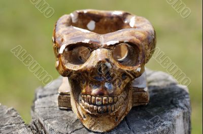 Skull