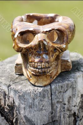 Skull