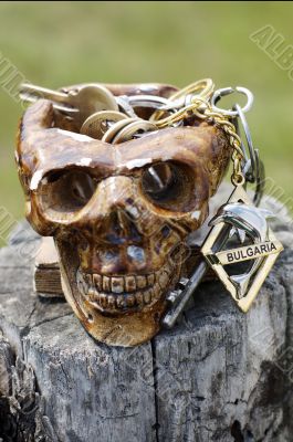 Skull