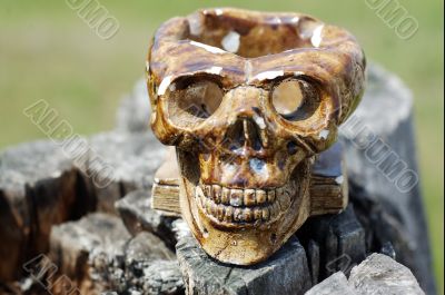 Skull