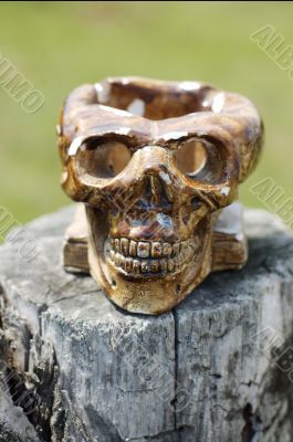 Skull