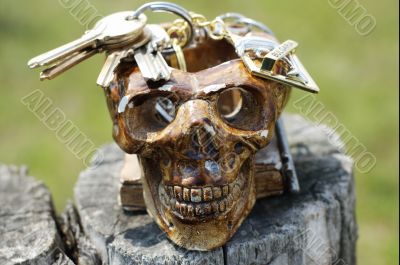 Skull
