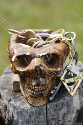 Skull