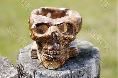 Skull