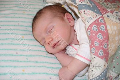 Two week old newborn sleeping