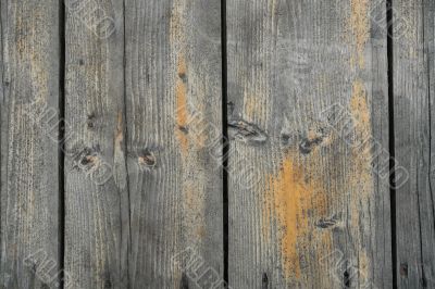 wood background