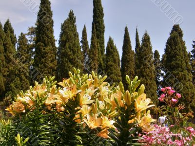 tropical flowers.