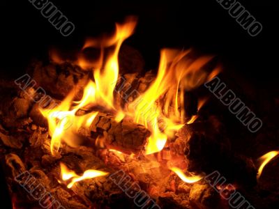 Fire