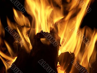 Fire
