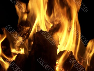 Fire