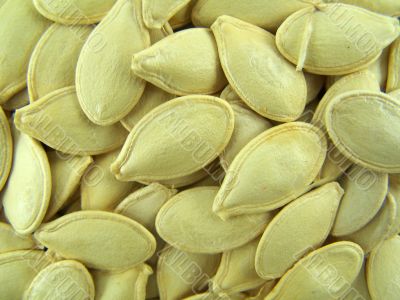 Seeds of a pumpkin