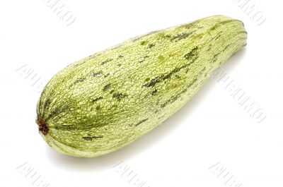 marrow