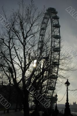 London eye