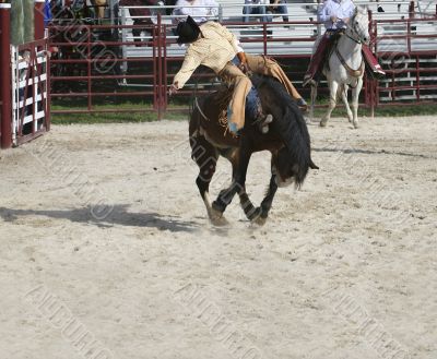 Horse and Cowboy 2