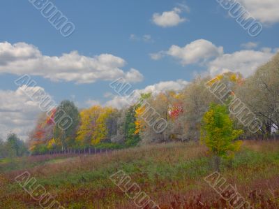 Autumn landscape