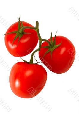 Three ripe tomatoes