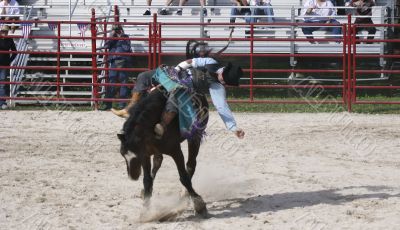 Horse and Cowboy 2